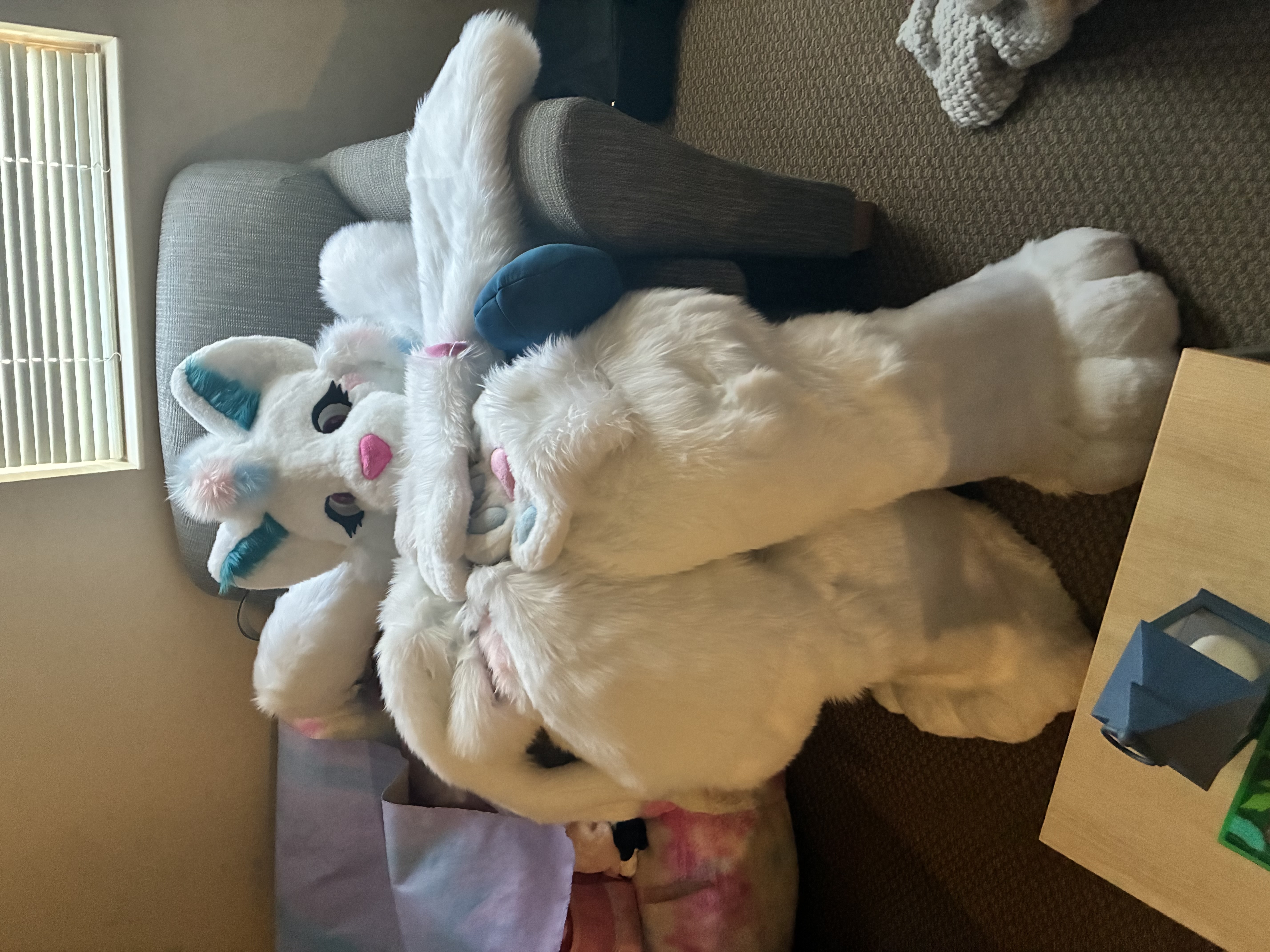 SugarKitty16 photo 3